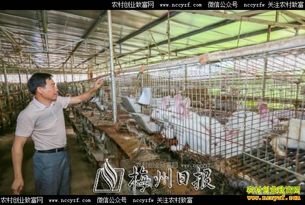 �㶫÷�ع�������ֳ���ô�������¸�