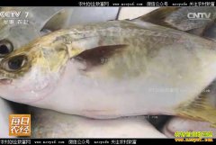 [ÿ��ũ��]���ϣ�������Ľ�����Ϊ���ܳ�