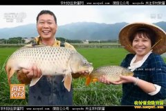 [ÿ��ũ��]�㶫���죺���ھӴ�������������