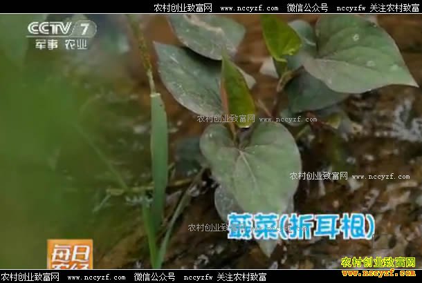 ÿ��ũ����Ƶ���ݸ�����Ϯ 20170518