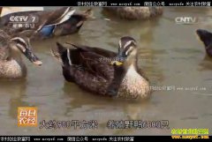 [ÿ��ũ��]�㽭���ʿ����ֳҰѼ��Ѽ��׬Ǯ