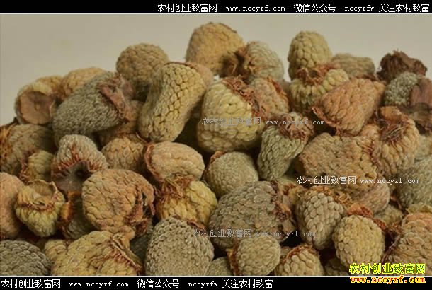 �����Ӷ���Ǯһ�2017�긲���Ӽ۸�����