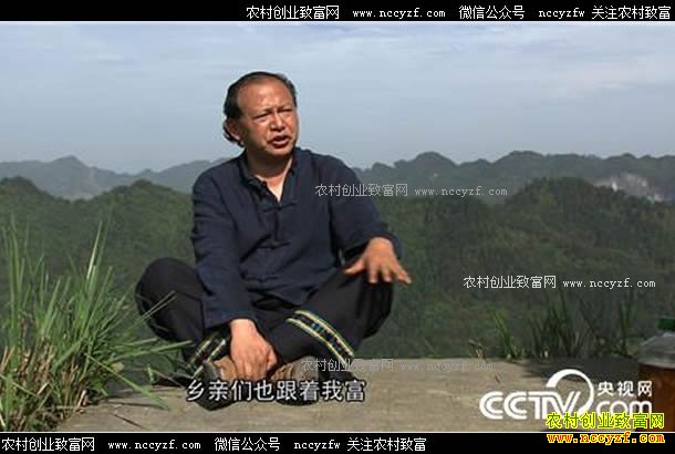 [�¸���]���������������ֲ�Ҷ�Ŀ��ֲƸ�