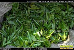 [�¸���]�����ڳ�������ڹ��ϴ�կ�Ĳ�Ҷ�Ƹ�����