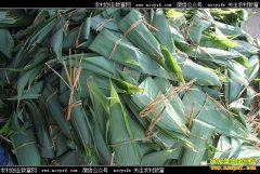 �������������壺������Ҷ�������¸�����Ŀ