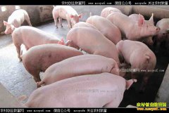 ������Դ�����������������������۶�1600��Ԫ