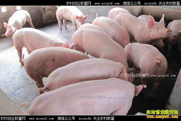 ������Դ�����������������������۶�1600��Ԫ