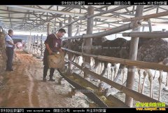 �Ĵ���̨������ܽո�������׬Ǯ�ֻ���