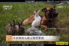 [ÿ��ũ��]�������ݣ�����ץ�ľ���ɽ�ú���Ǯ