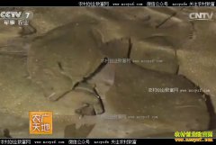 [ũ�����]����2����ֳ������Ƶ