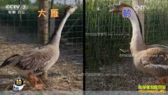 [ÿ��ũ��]����������ֳ��ɵĴ����׬Ǯ