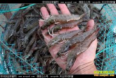 �㽭��Ҧ������������ʮ������Ϻ�����¸�·