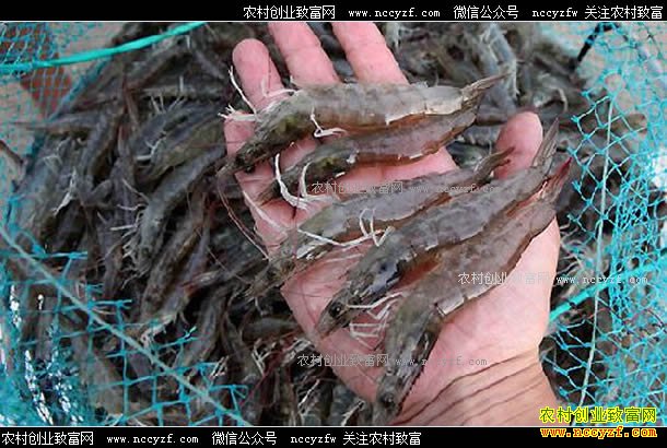 �㽭��Ҧ������������ʮ������Ϻ�����¸�·