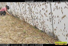 �������������۴��������ƴ��츸�������¸�