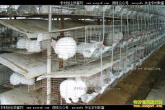 ���ճ��ݡ�̡��������ѧ�������¸���������