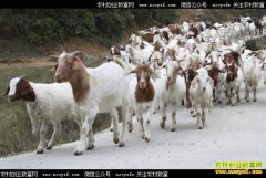 ����ҫ�ش�ѧ�������ջ��紴ҵ��ɽ������30��Ԫ