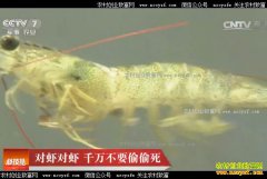 [�Ƽ�Է]��Ϻ�޹�������ʲôԭ��