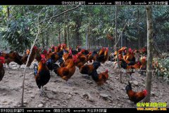 �������ݺ������������������ġ����¸���