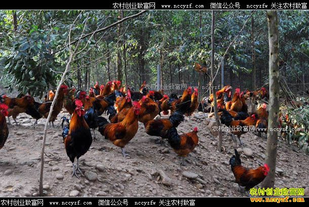 �������ݺ������������������ġ����¸���