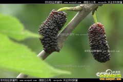 [�¸���]��������֣־���ӹ�ɣ�����ϴ�������Ƹ�