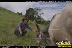 [�¸���]ţ�������Ժ�ɵ�����ٵ�����Ƹ��Ծ�