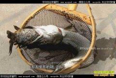 [�¸���]�������� �������̱主��