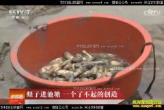 [�Ƽ�Է]�������������ӽ����� һ���˲���Ĵ���