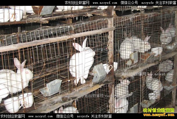 ������ɽ��̴��ï��ҵ�����������¸�·