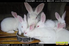 �½���ľ����������贺Ͳ�ΰ���޻�����ֳ̡�������¸�·