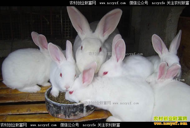 �½���ľ����������贺Ͳ�ΰ���޻�����ֳ̡�������¸�·