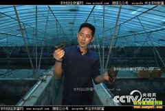 [�¸���]�㽭��������Ȩ��1000����Ϻ׬��1000��Ԫ