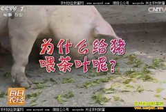 [ÿ��ũ��]ɽ�����֣�������������������۸�