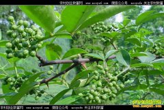 �����ϴ��»������м۸�����