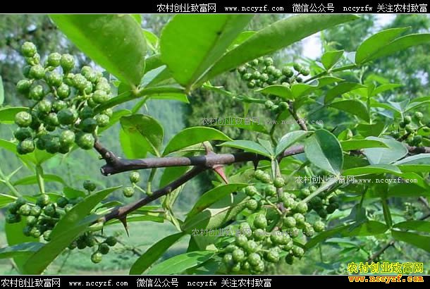 �����ϴ��»������м۸�����