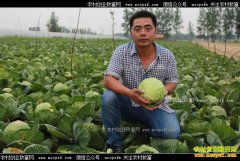 ������Ȫ������������10�����˼�Ѱ����