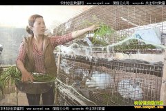 �Ĵ����ݡ�Ů��������������ֳ���ô��������¸�