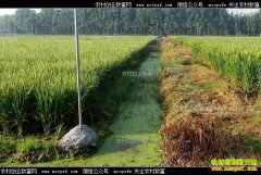 �Ĵ����� ����Ϻ������Ч��ó�ũ���¸�����Ŀ