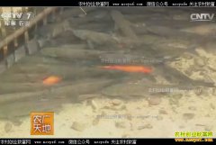 [ũ�����]�㽭���������ѡ�������ɽȪˮ������ˮ��