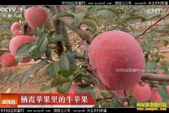 [�Ƽ�Է]��ϼƻ�����ţƻ��