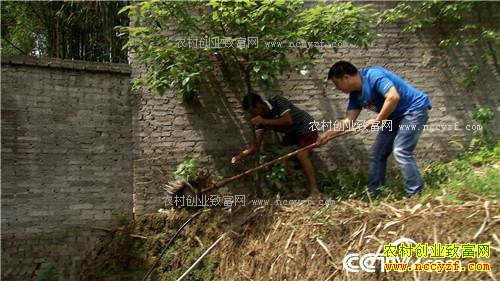 �¸���������ǧ�� �����ְ��ĲƸ�(20170607)