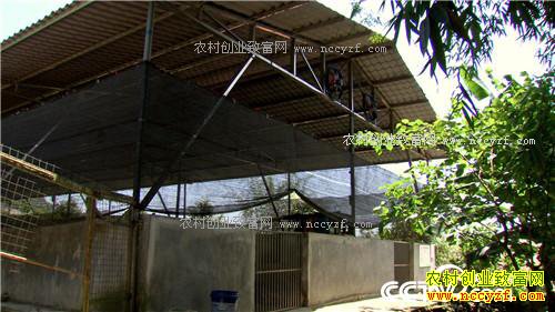 �¸���������ǧ�� �����ְ��ĲƸ�(20170607)