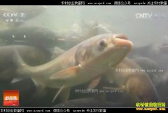 [�Ƽ�Է]���ս����أ�700Ķˮ��ֻ��10Ķ������