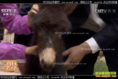 [ÿ��ũ��]��������������¿�������