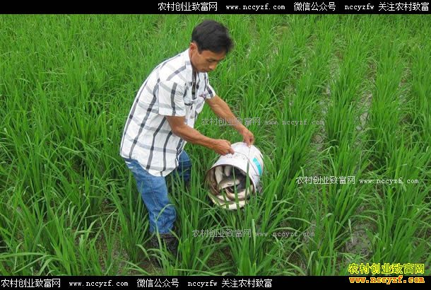 �������»���ũ��רҵ��������ˮ��������