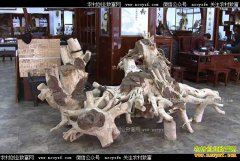 [�¸���]�㶫��ݸ�����ֲ����������2000��Ԫ