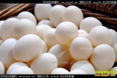 ���ռ����۸�����˱����� ���ۺ�ʱ���ǣ�