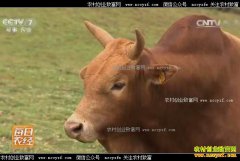 [ÿ��ũ��]���Ϲ��ϸ߷�ţ����������۹���Ԫ