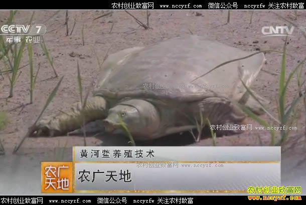 [ũ�����]�ֹ������������� 20170609