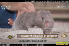 [�¸���]����ƽ���غν�����ֳ����Ӯ�òƸ��Ͱ���