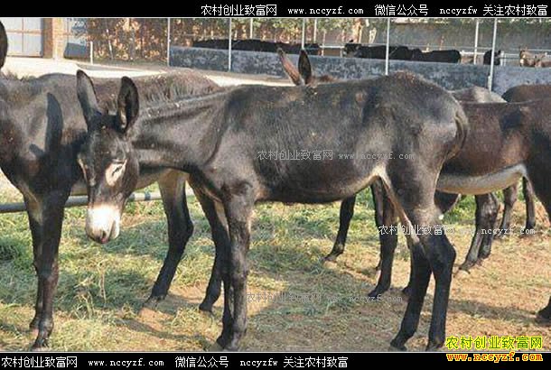 �������ң�ũ����̬��¿�����¸�·